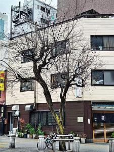 NAGOYA - Centre Ville et Vie Quotidienne - Janvier 2024 - 063